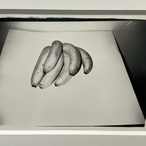 Art basel banana inspiration - Warhol bananas