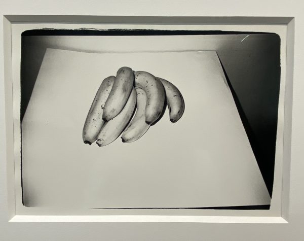 Art basel banana inspiration - Warhol bananas